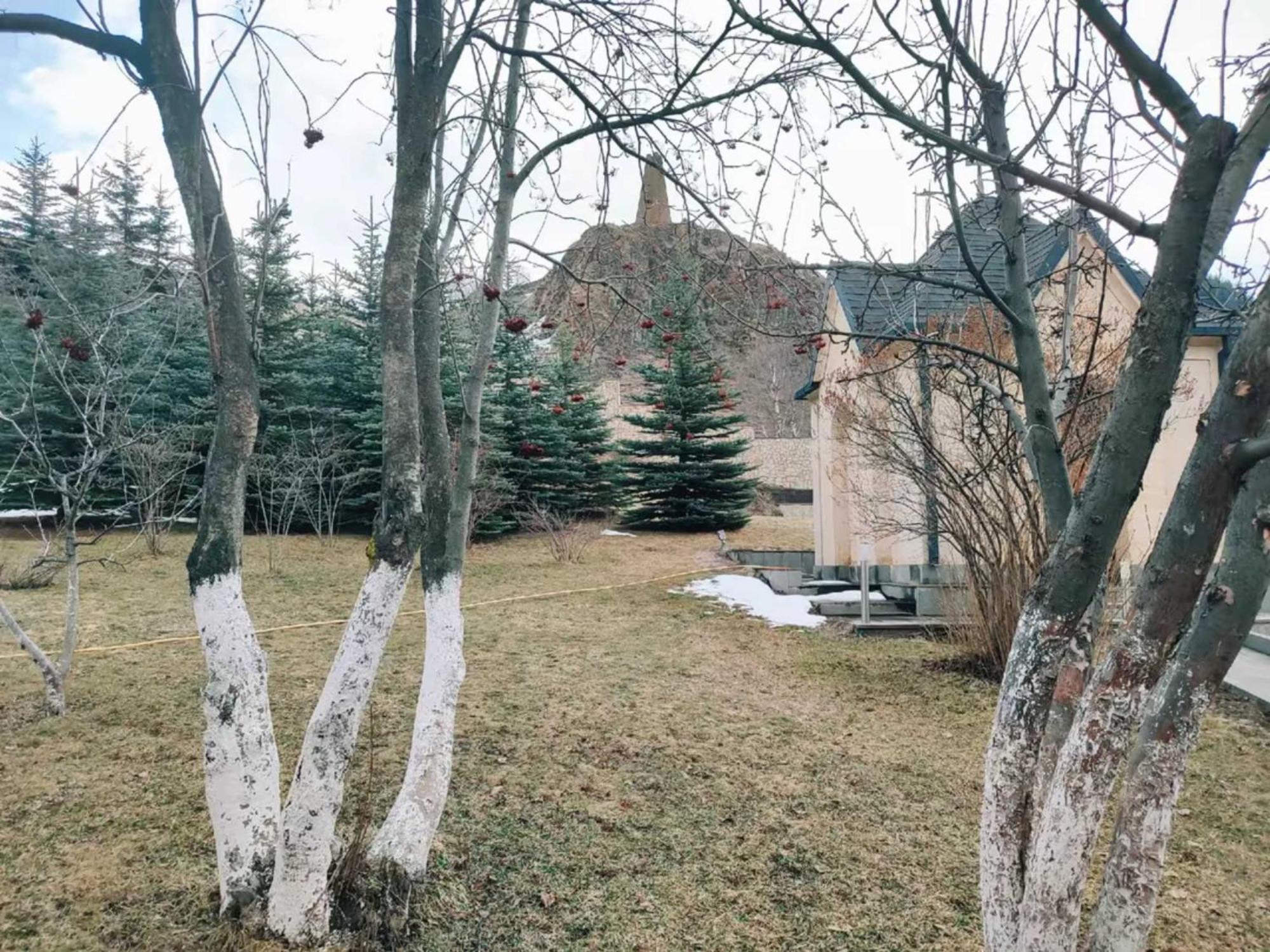 Vardisubani Villa Kazbegi Exterior foto