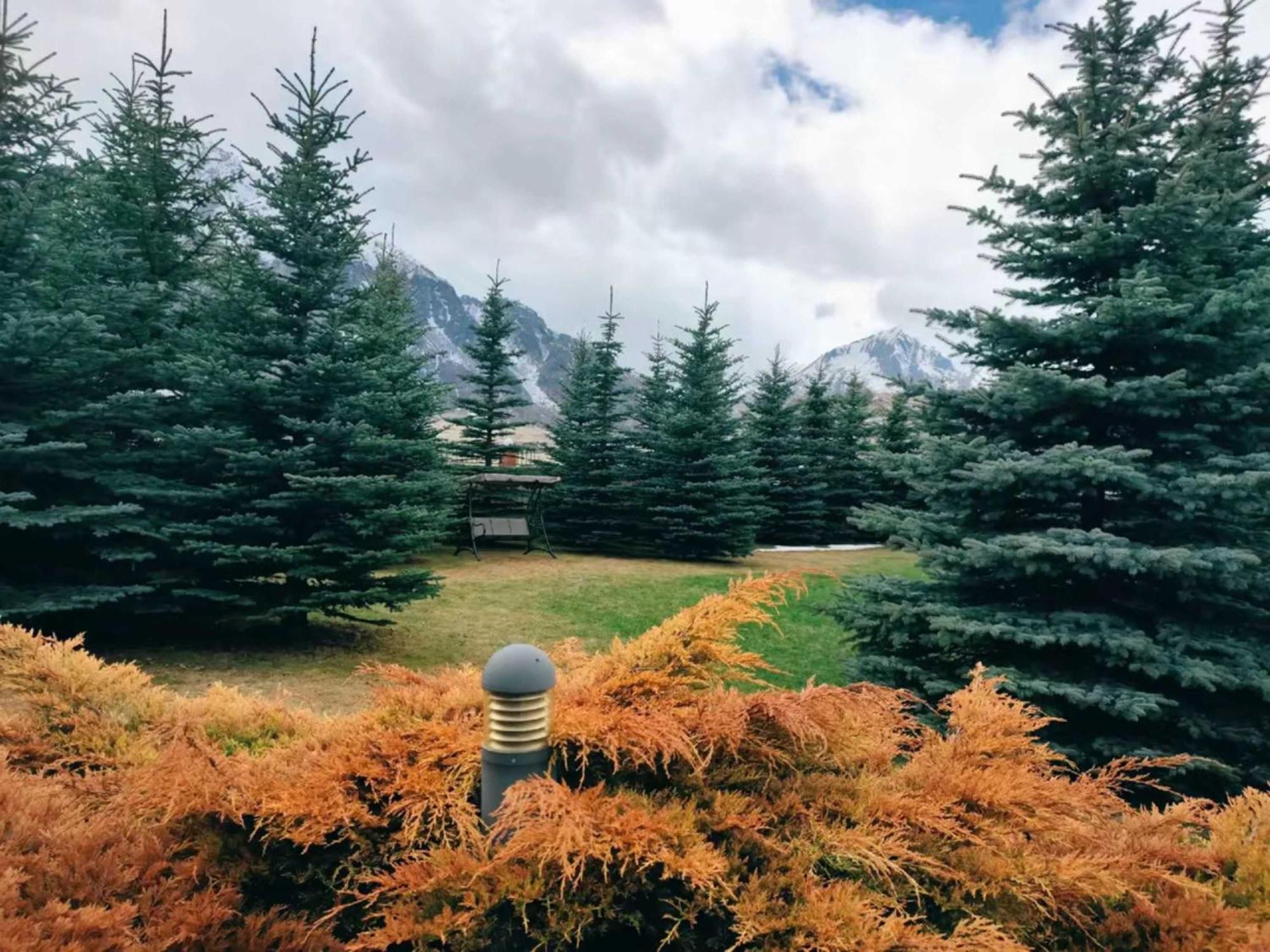 Vardisubani Villa Kazbegi Exterior foto