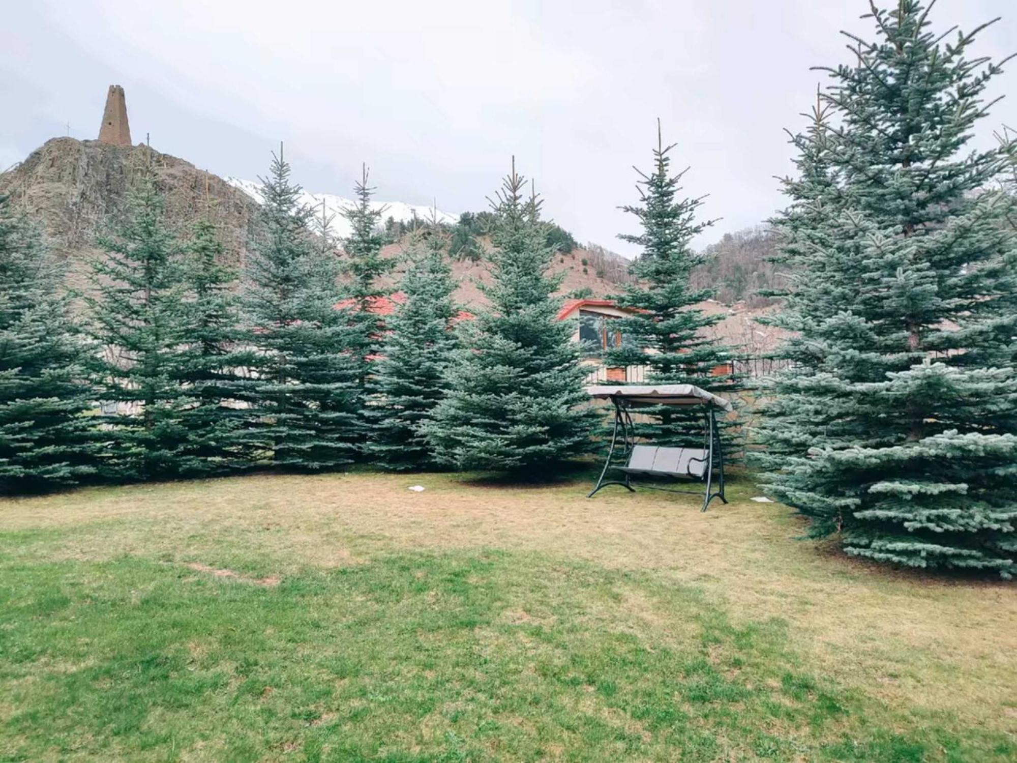 Vardisubani Villa Kazbegi Exterior foto